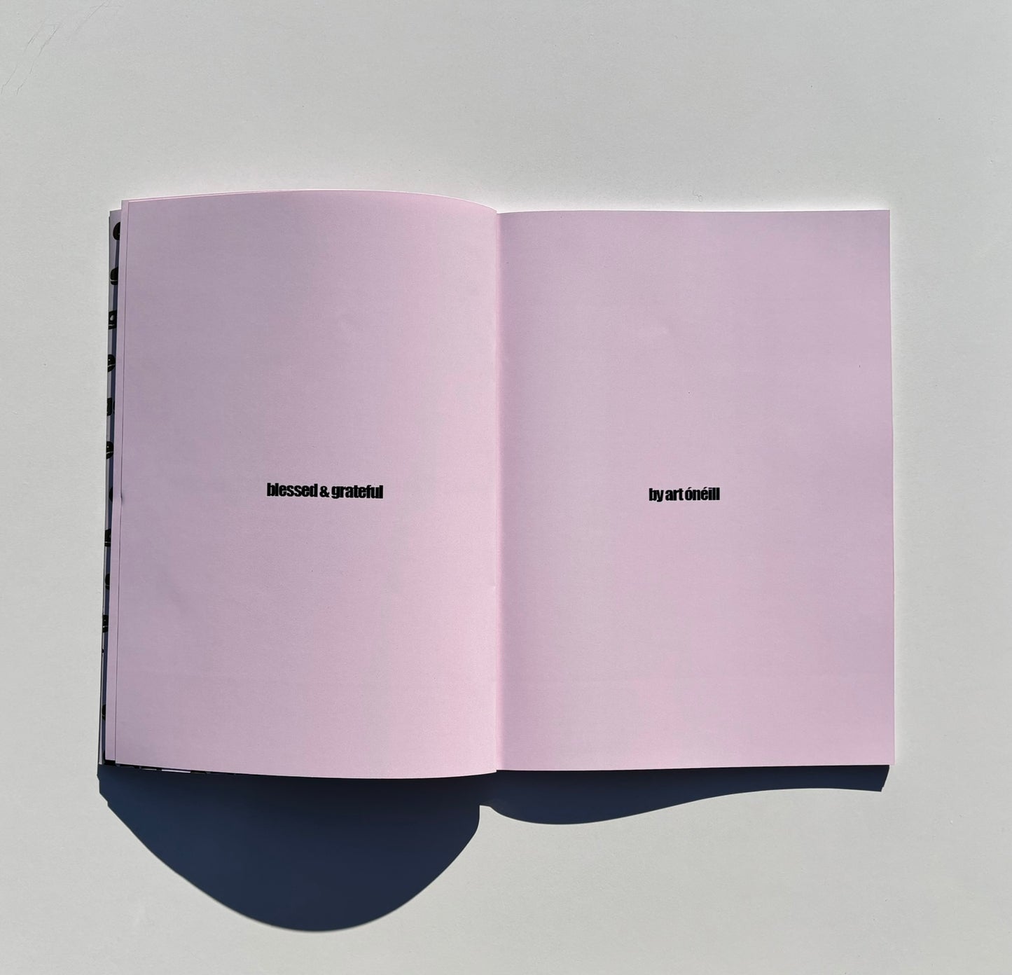 egg* Zine